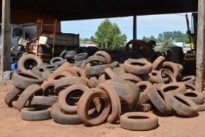 Read more about the article Campanha coleta mais de 5 toneladas de pneus inservíveis