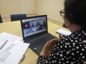 Read more about the article Reunião Virtual Colegiado de Saúde