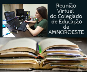 Read more about the article Reunião Virtual do Colegiado de Educação da AMNOROESTE