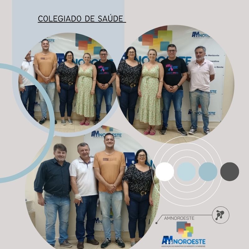 Read more about the article Reunião do Colegiado de Saúde.