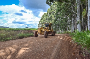 Read more about the article Secretaria de Agricultura promove serviços de manutenção em estradas rurais de todos os distritos