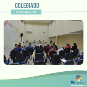 Read more about the article Reunião do Colegiado de Saúde e CIR