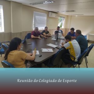 Read more about the article Reunião Ordinária do Colegiado de Esporte