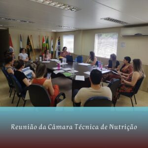 Read more about the article Reunião do Colegiado de Nutrição
