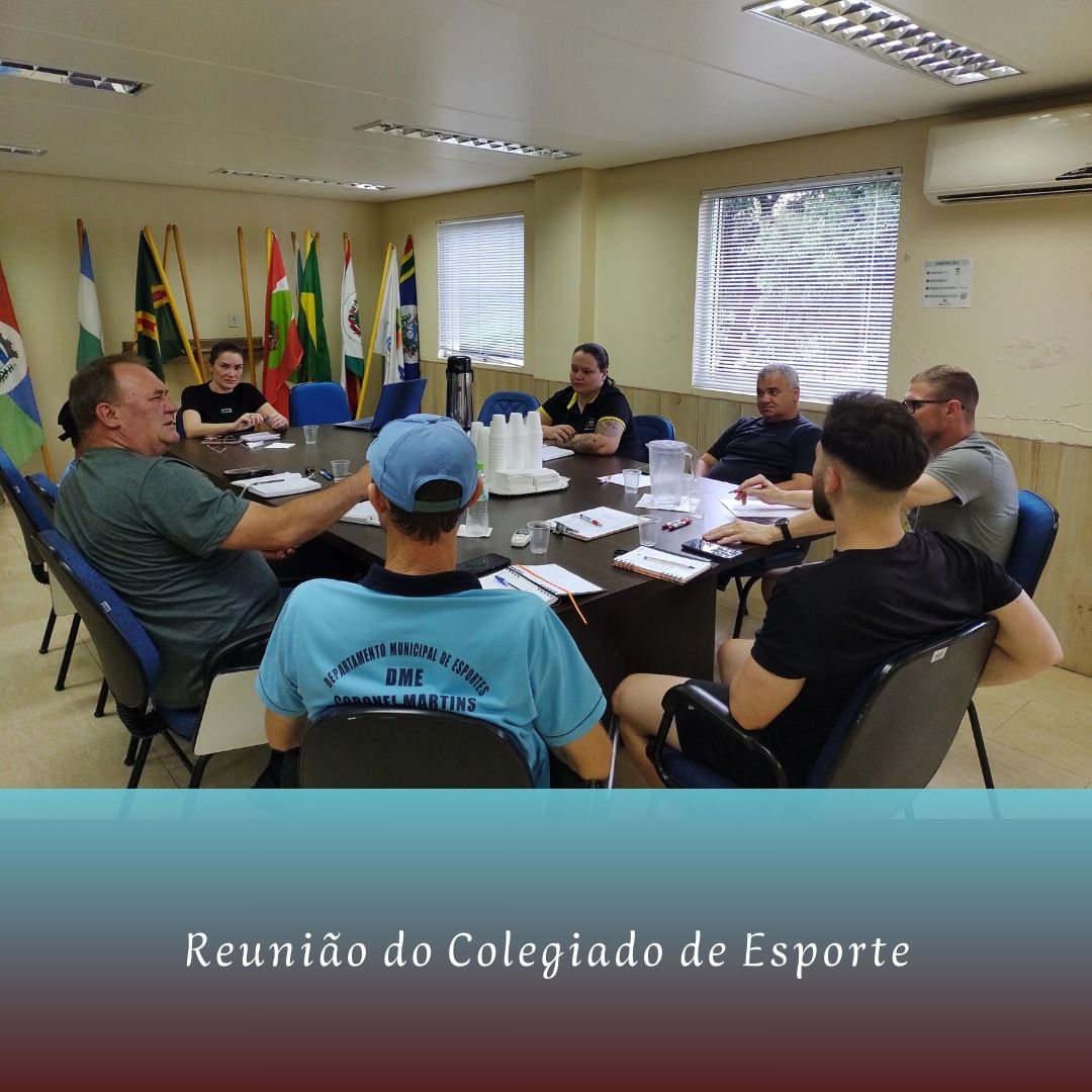 You are currently viewing Reunião do Colegiado de Esporte