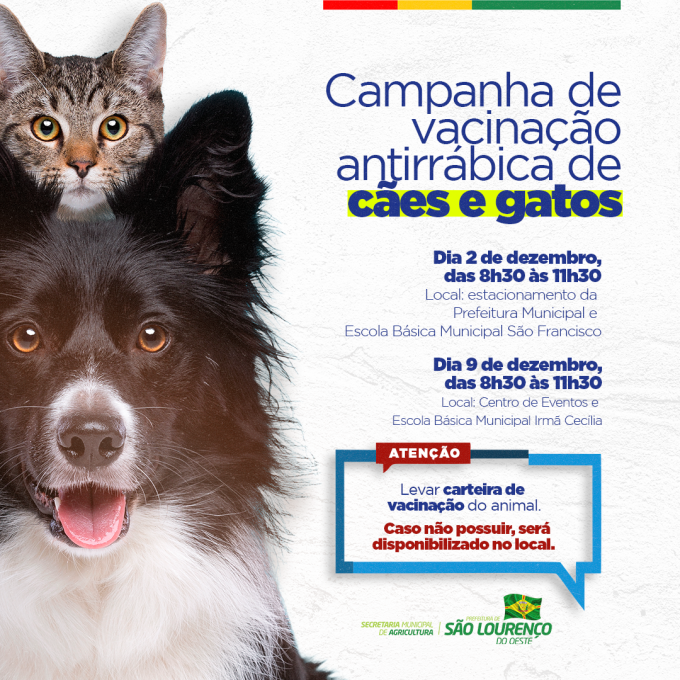 You are currently viewing Prefeitura promove campanha de vacinação antirrábica de cães e gatos
