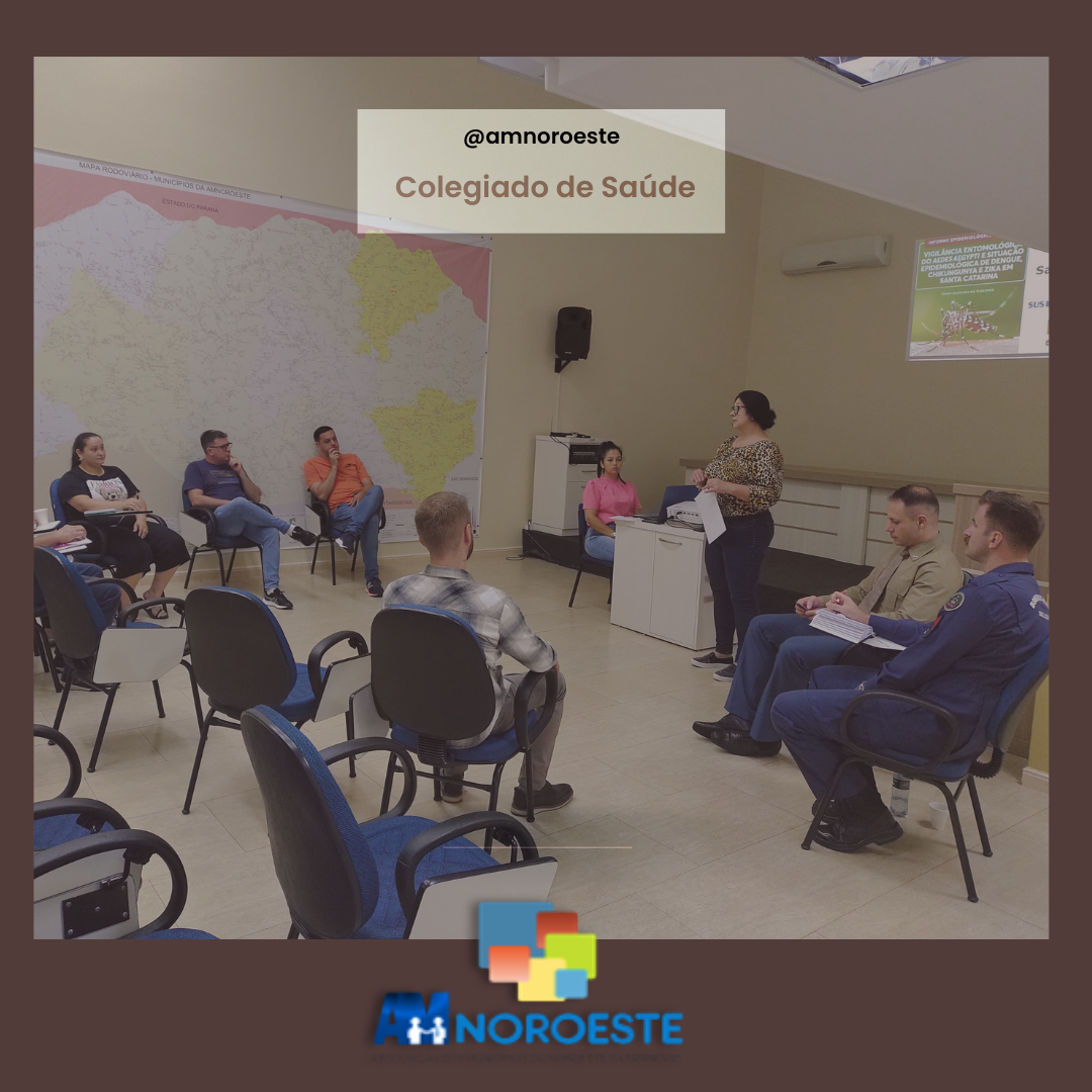 Read more about the article Reunião Colegiado de Saúde.