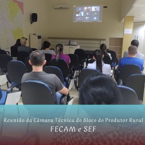 Read more about the article Reunião da SEF, FECAM e Associação de municípios (Bloco do Produtor Rural)