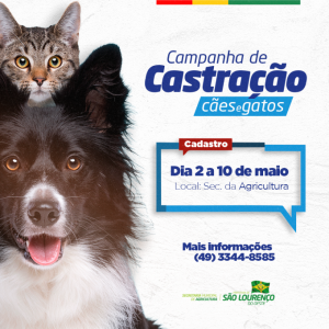 Read more about the article Prefeitura abre cadastro para castrações de cães e gatos em maio